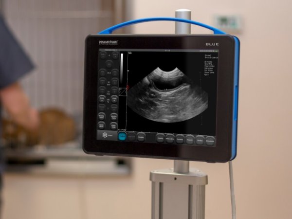 ultrasound-scanners-veterinair.jpg
